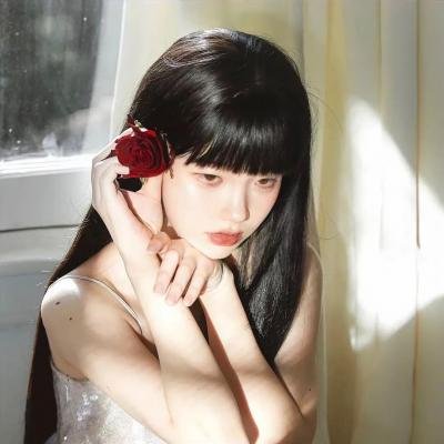 梅花公馆海报
