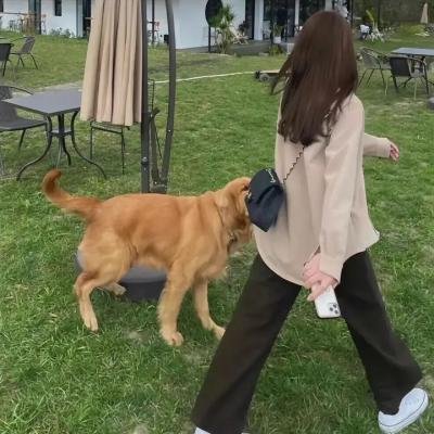 冬天的女子海报